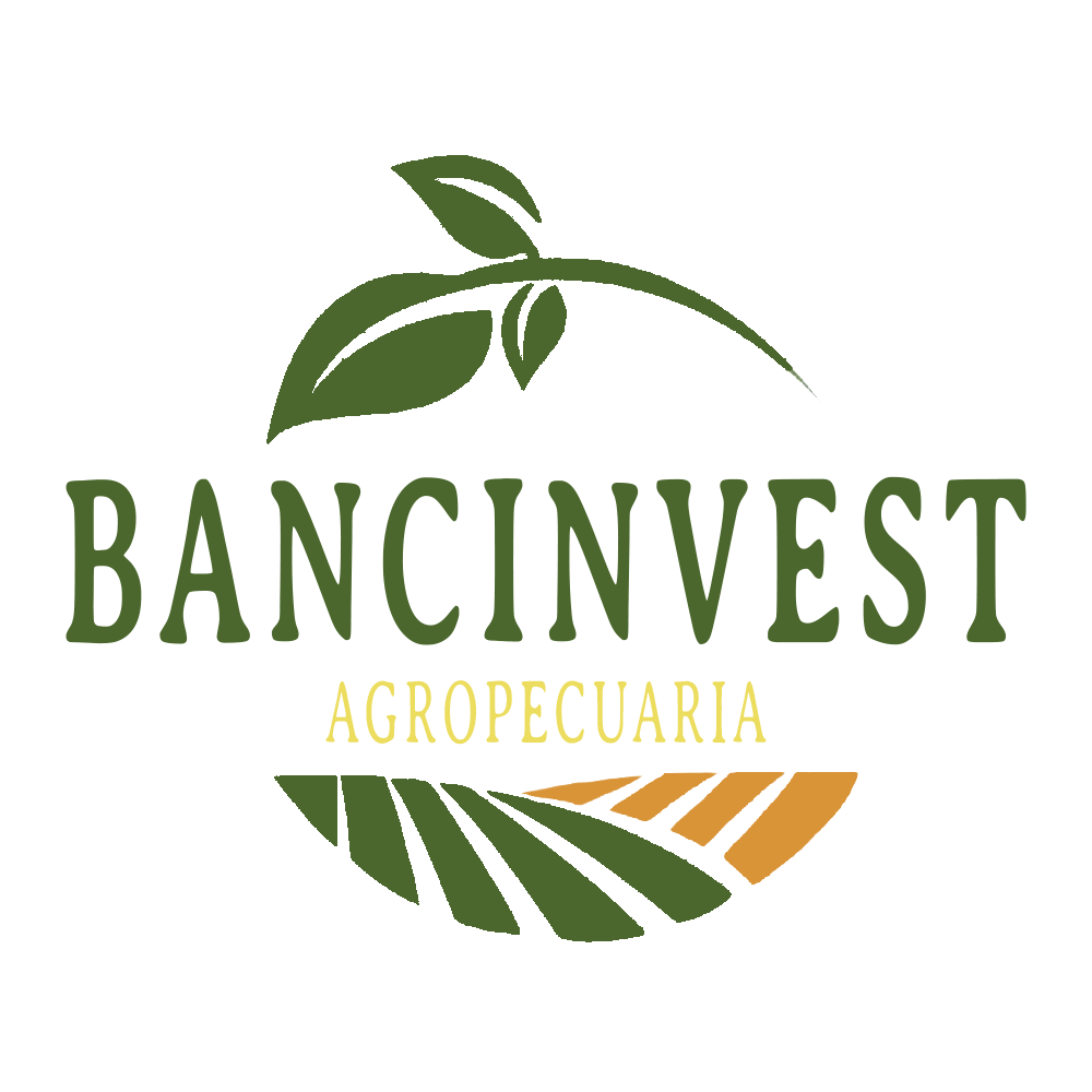 Bancinvest